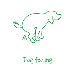 Dog fouling