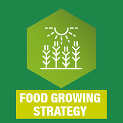 Food growing strategy