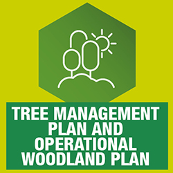 Tree Management Plan and Operational Woodland Plan