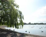 Strathclyde Park