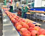 Food manufacturing