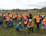 Strathclyde Park Climate Emergency Wood
