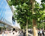 A future for Cumbernauld town centre