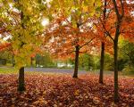 Autumn view of Strathclyde Park