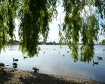 Strathclyde Country Park and loch