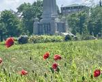 Motherwell War memorial