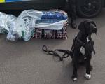 Trading Standards tobacco seizure September 26