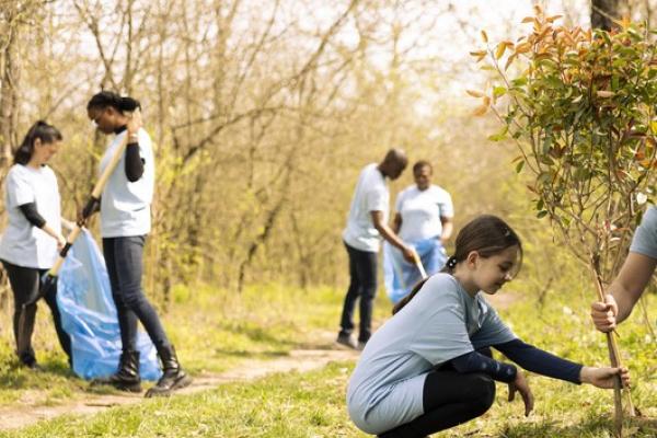 Grant award programme