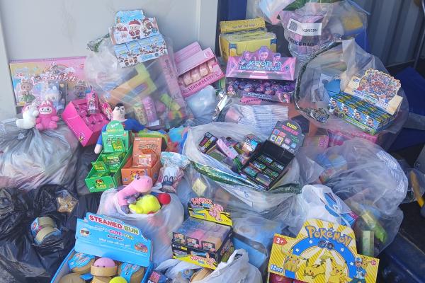 Trading Standards toy seizure