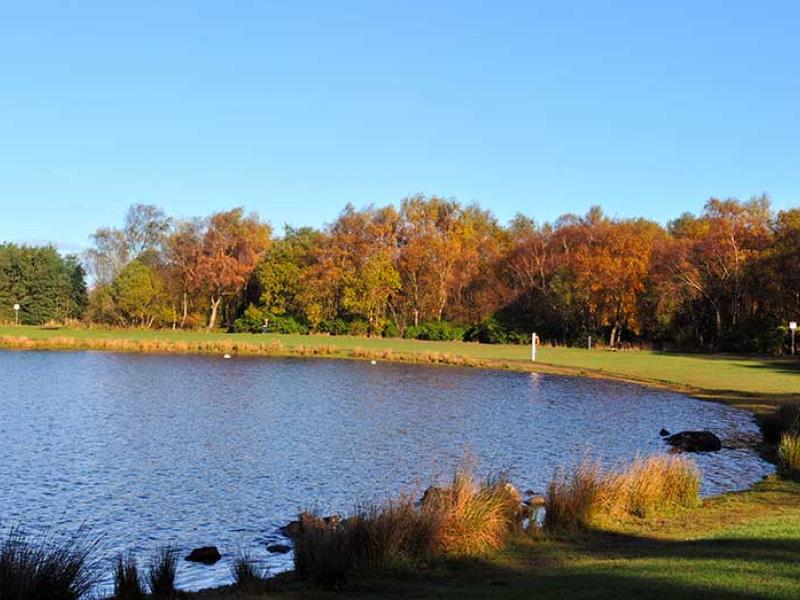 Autumn views over Drumpellier Country Park