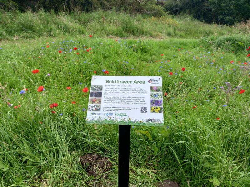 Wildflower planting sign