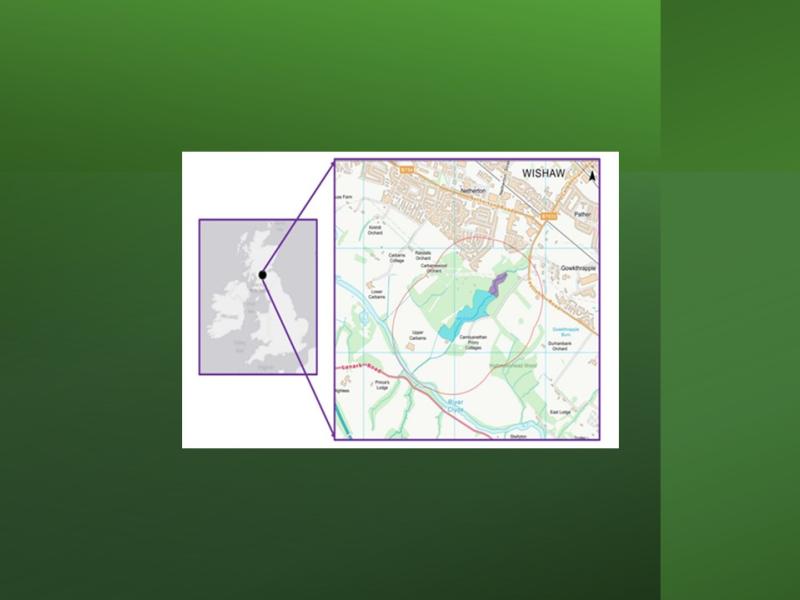 Woodland location