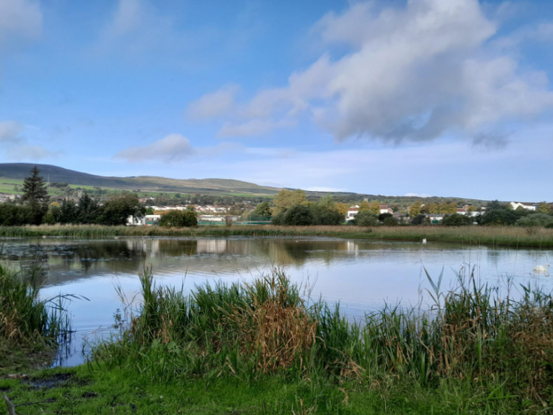 Dumbreck Marsh