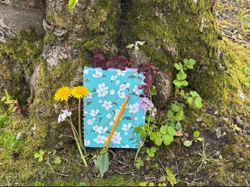Notebook in nature