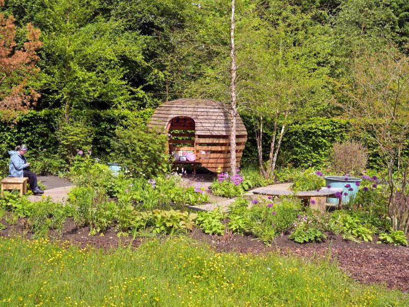 Down Syndrome Scotland garden view