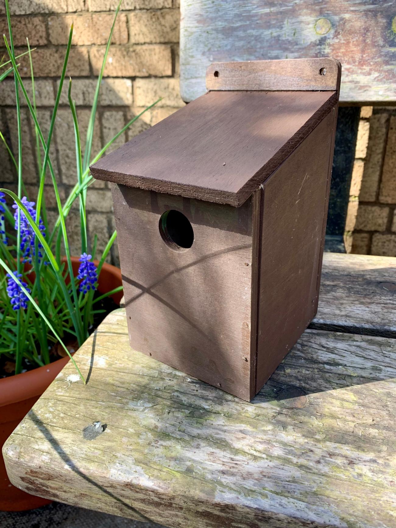 Build a Bird Box