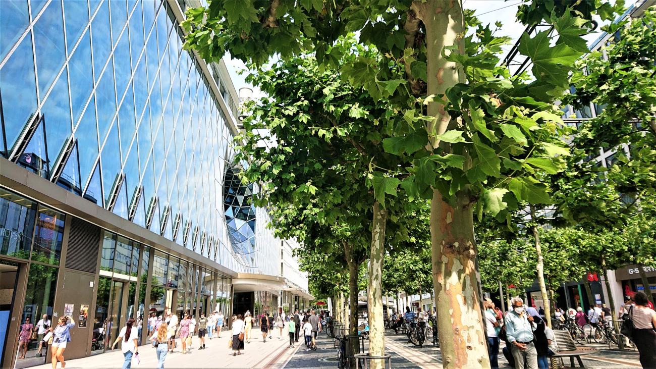 A future for Cumbernauld town centre