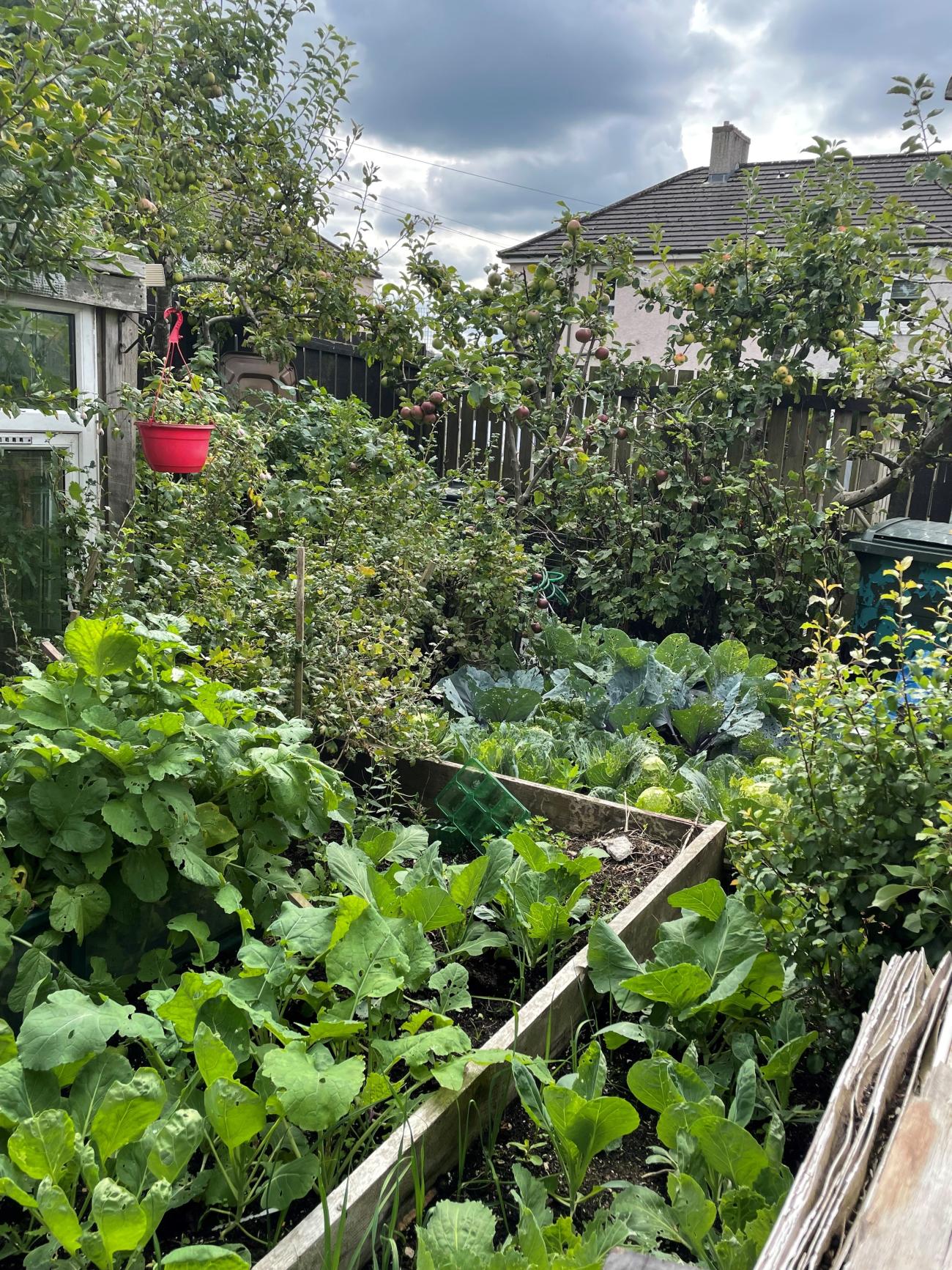 Garden in bloom vegetables