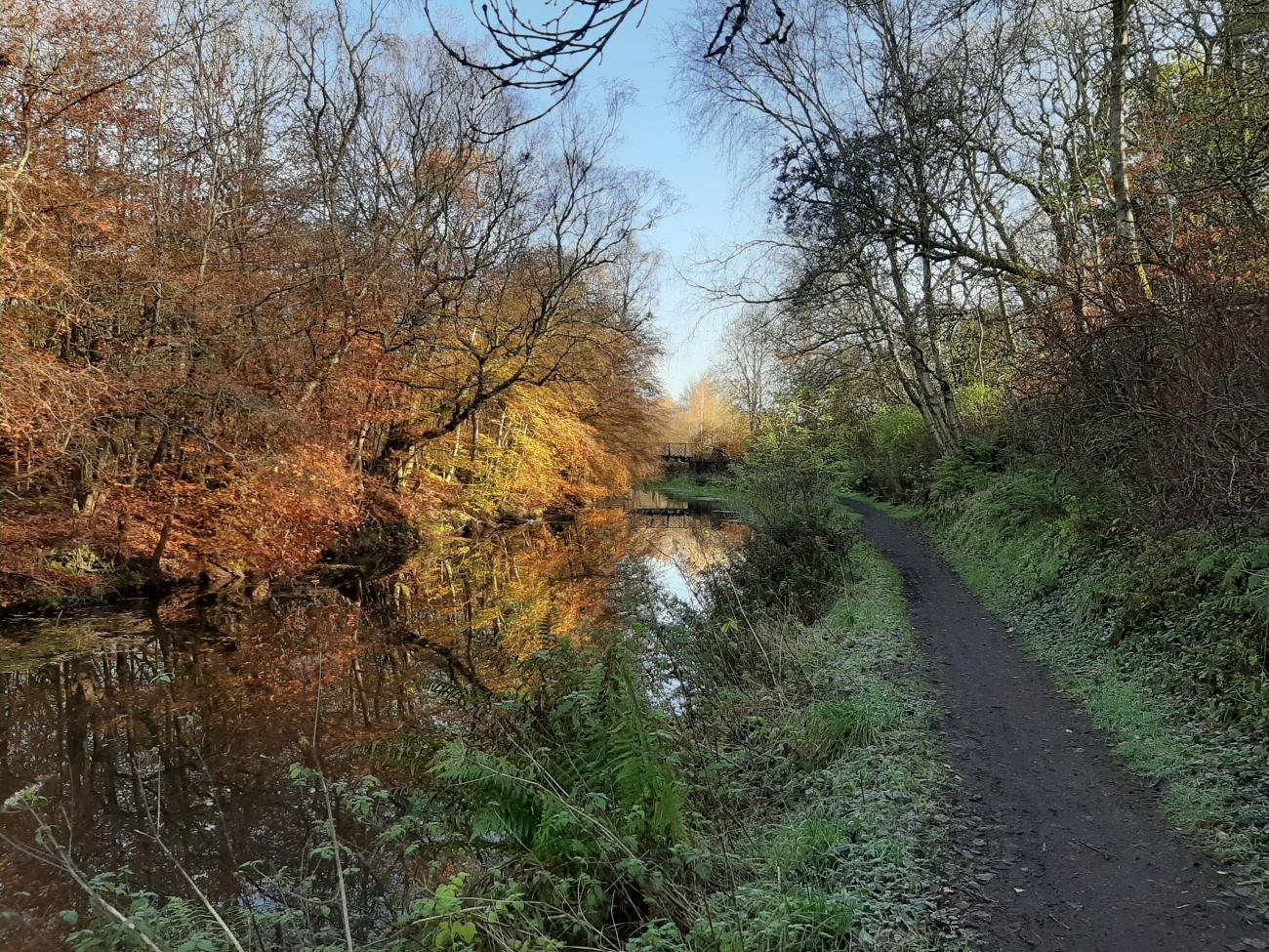 Drumpellier Canal View