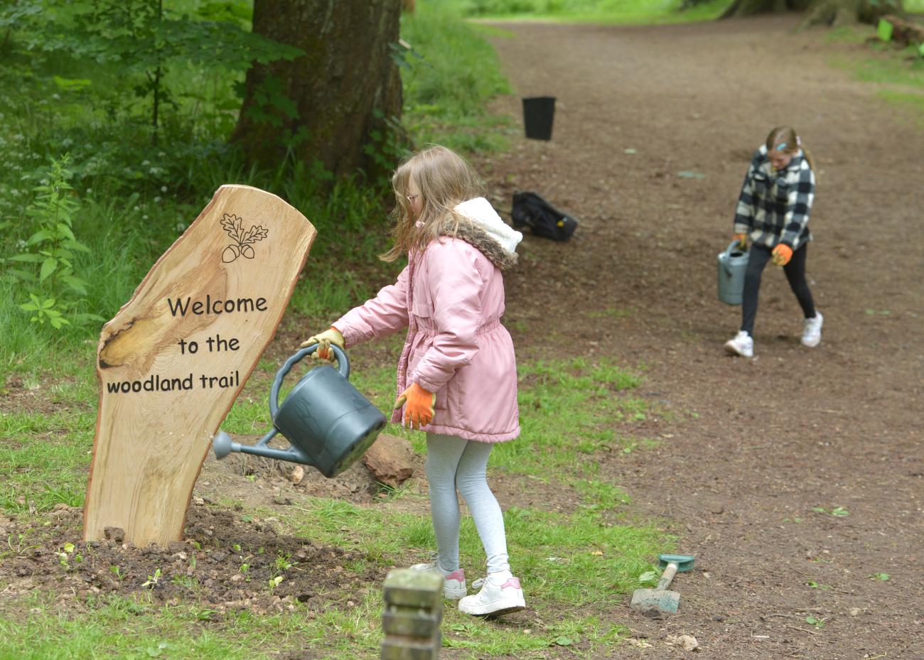 Dalzell Estate wildflower PB planting 3