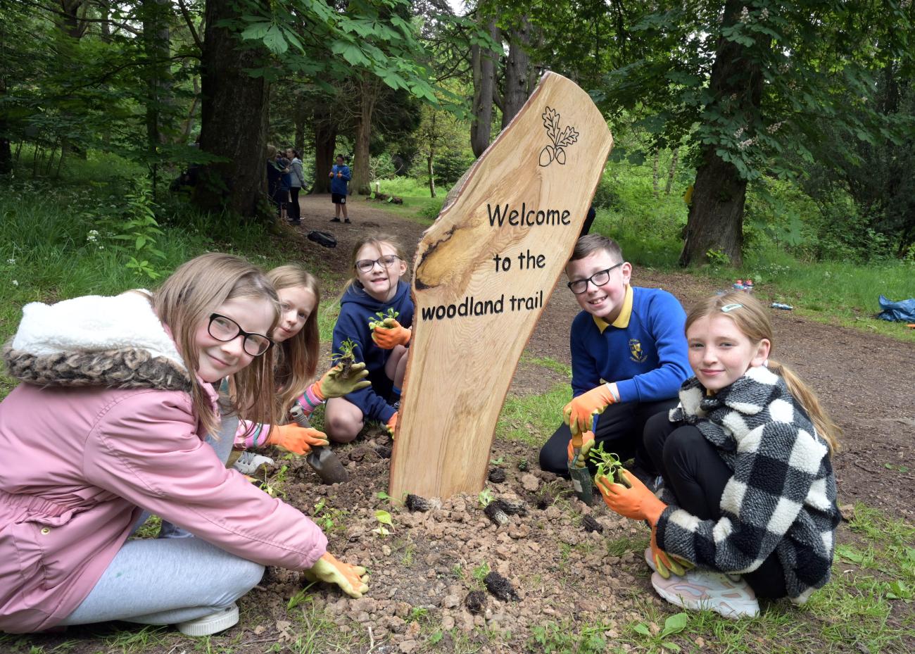 Dalzell Estate wildflower PB planting 2