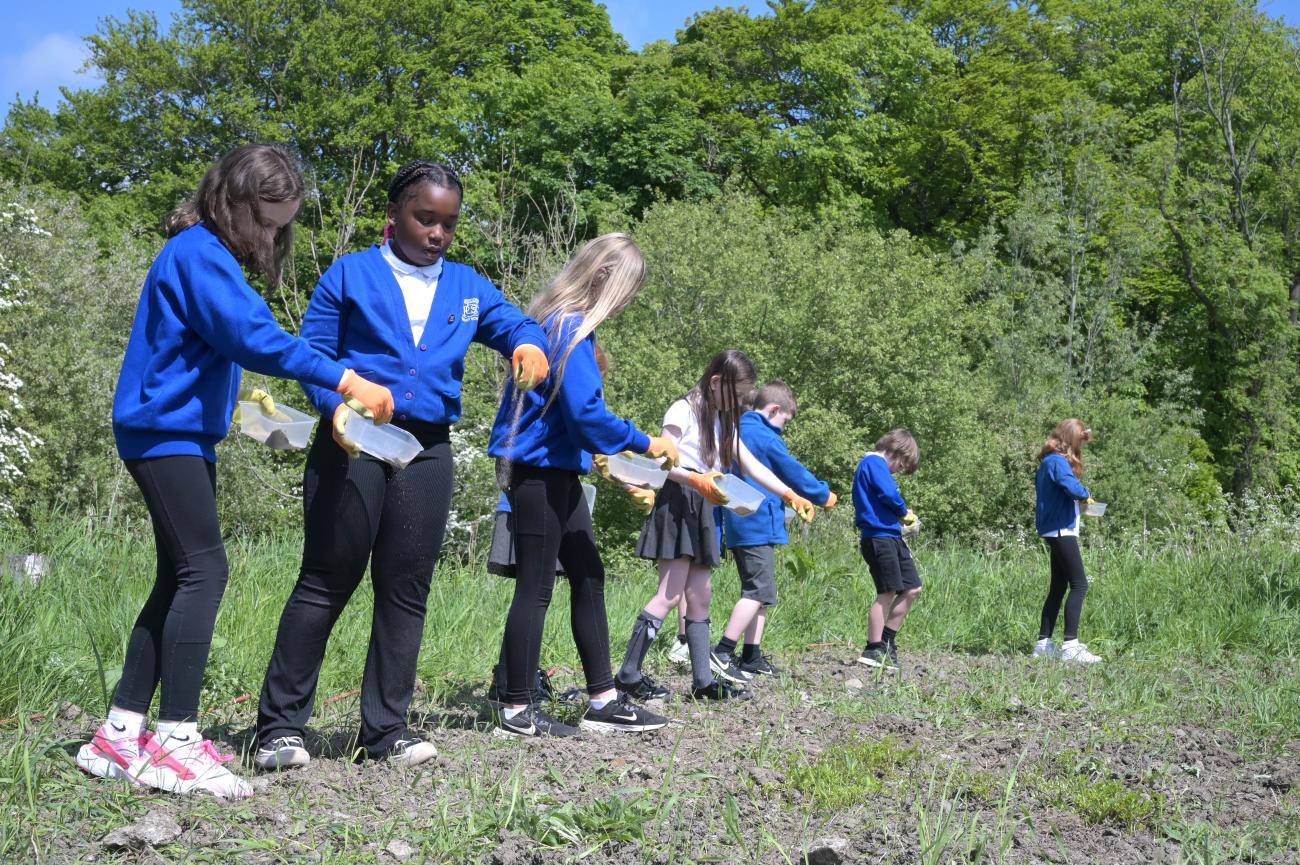 Wildflower planting PB Gartcosh 4