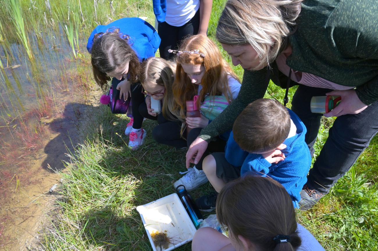 Wildflower planting PB Gartcosh 3