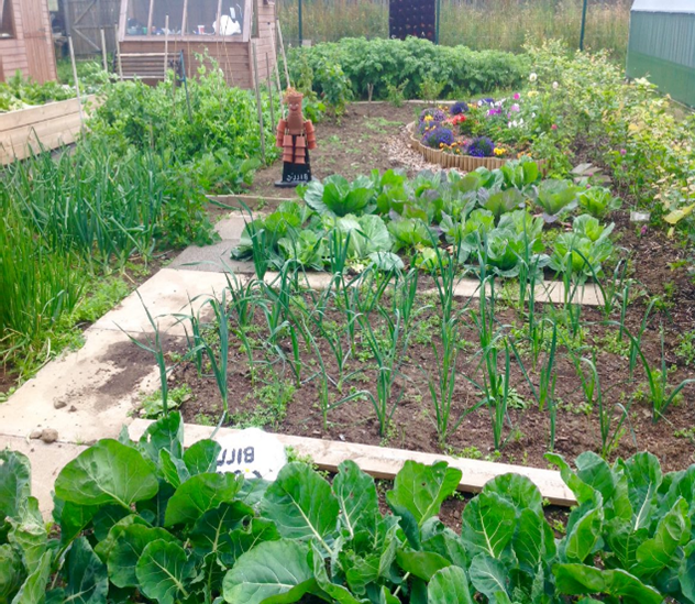 Allotment 1