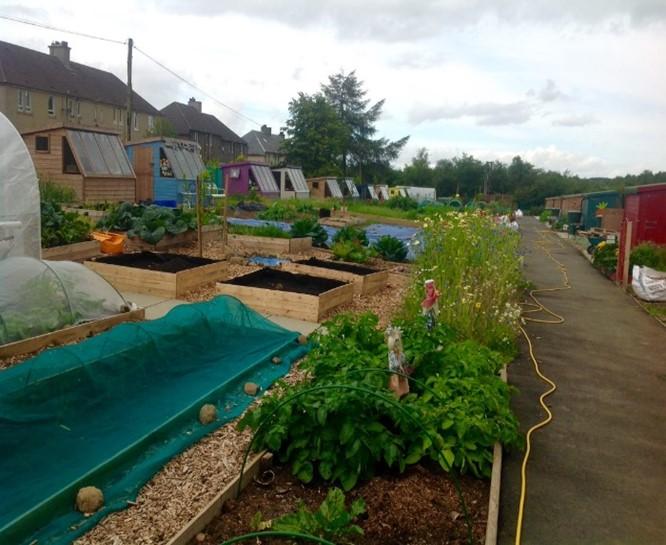 Allotment 2