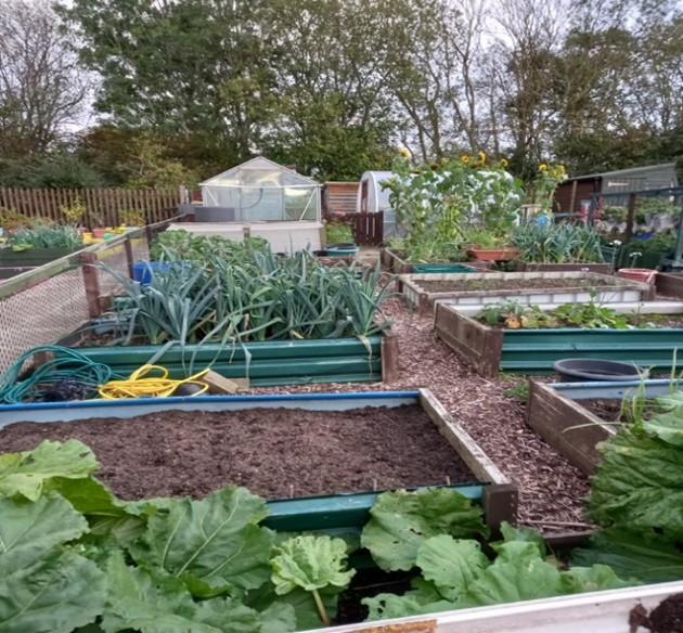 Allotment 5