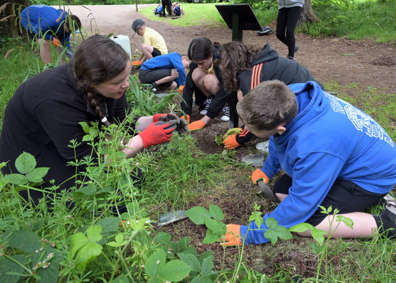 Wildflower planting at Dalzell Estate, Motherwell