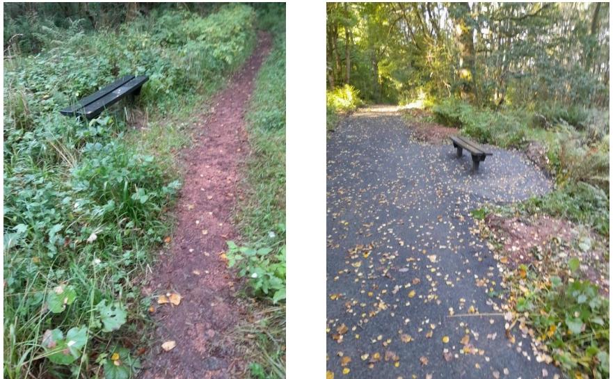 Before and after picture of new pathway