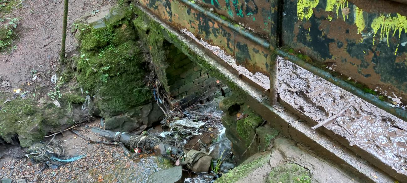 Damaged walkway through local greenery. 