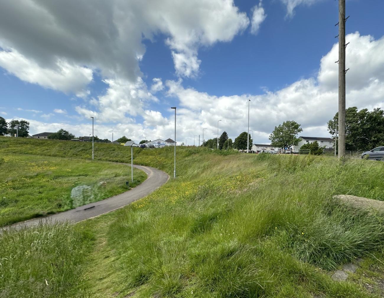 Path Lane going through grassy scenery. Grass overgrown