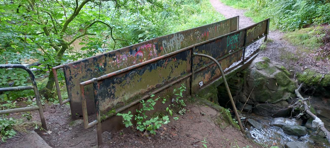 Damaged walkway through local greenery. 