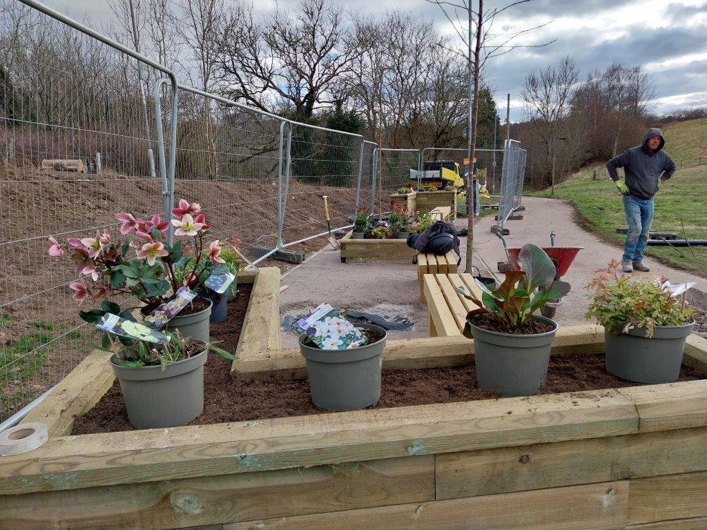 Up close image of planting bedding with plant pots. 