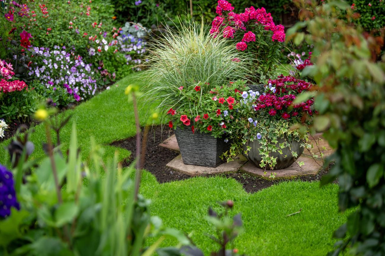 NL in bloom garden photo 1