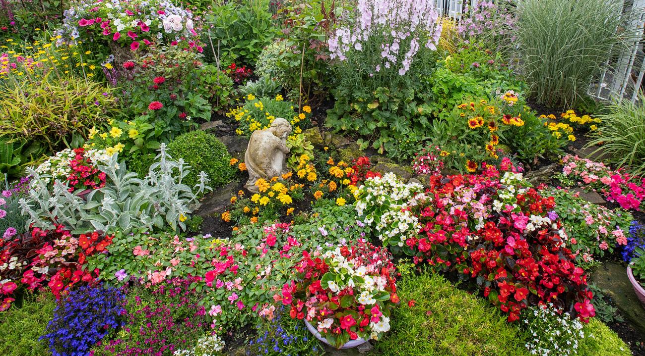 NL in bloom garden photo 3