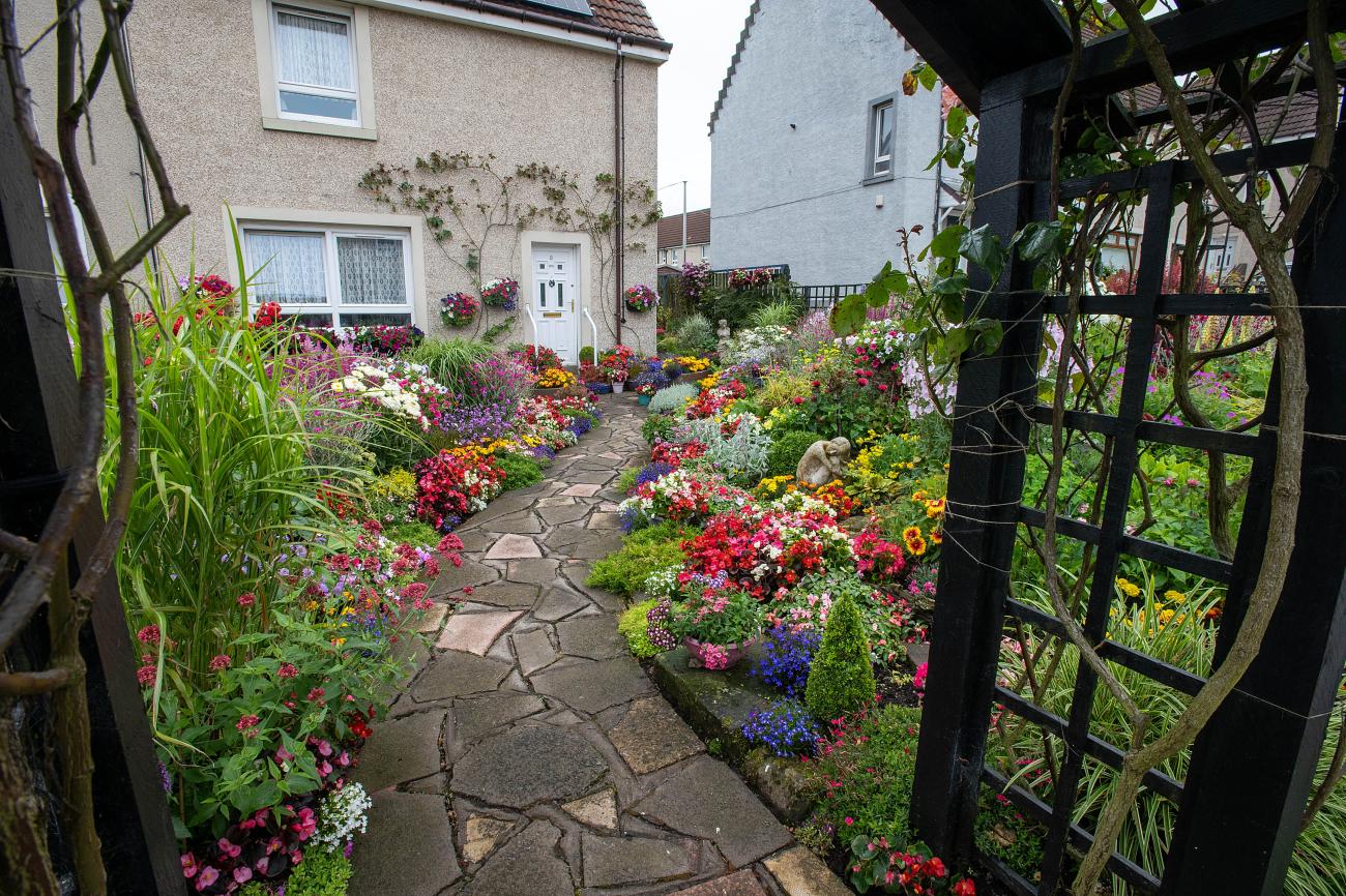 NL in bloom garden photo 4