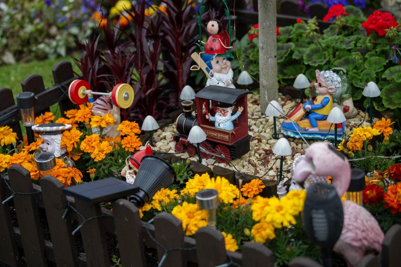 NL in bloom garden photo 7