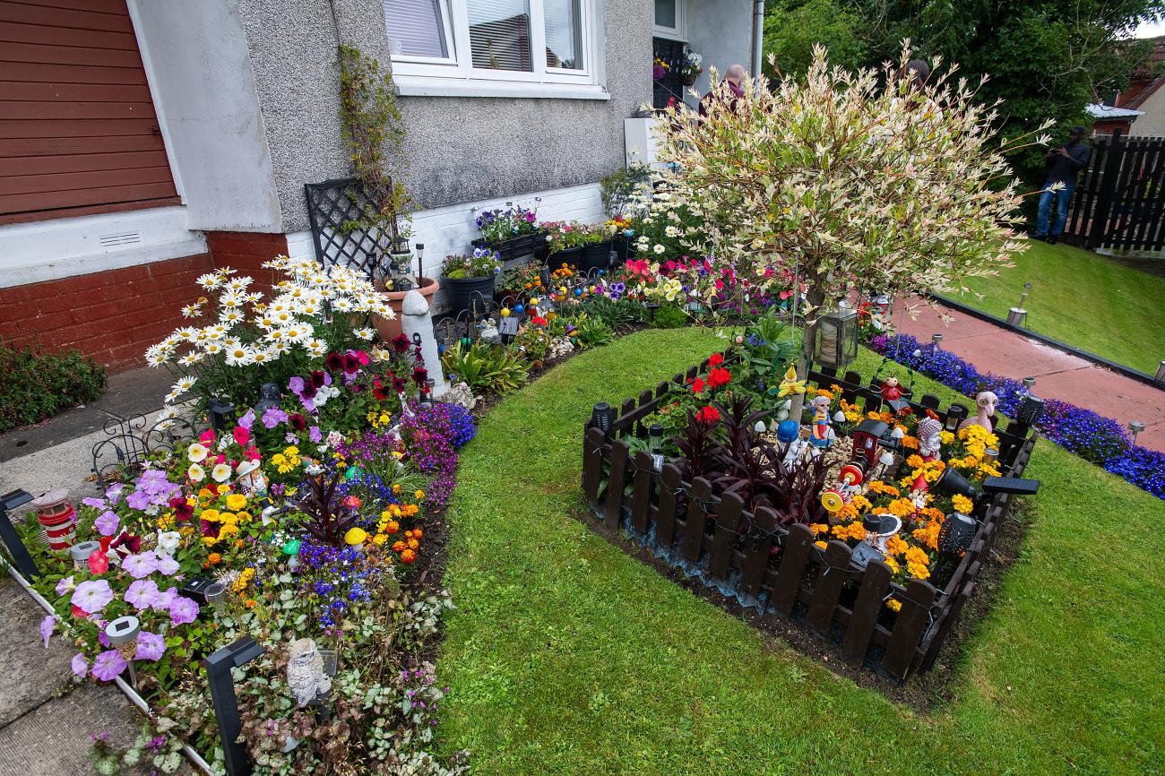 NL in bloom garden photo 8