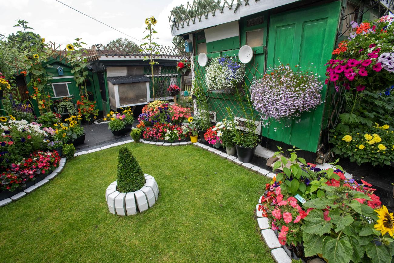 NL in bloom garden photo 16