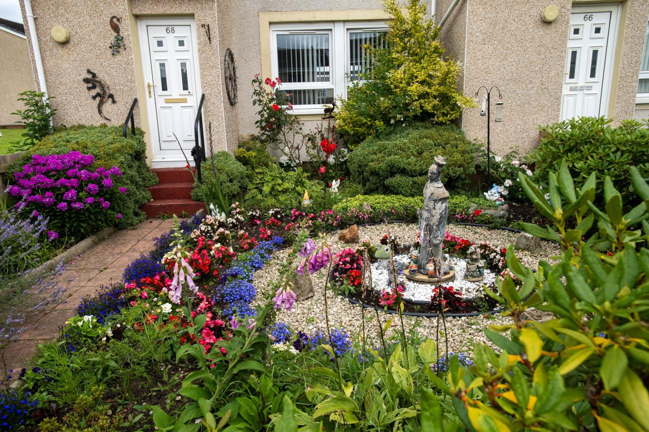 NL in bloom garden photo 18
