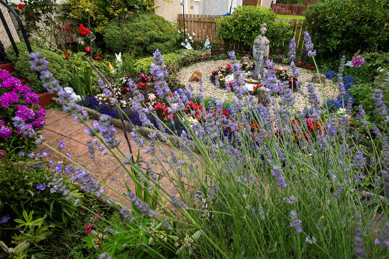 NL in bloom garden photo 18