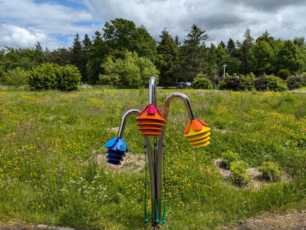 Palacerigg musical flowers