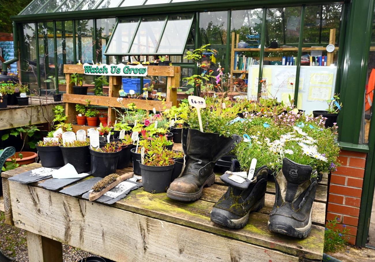 Palacerigg Watch Us Grow nursery