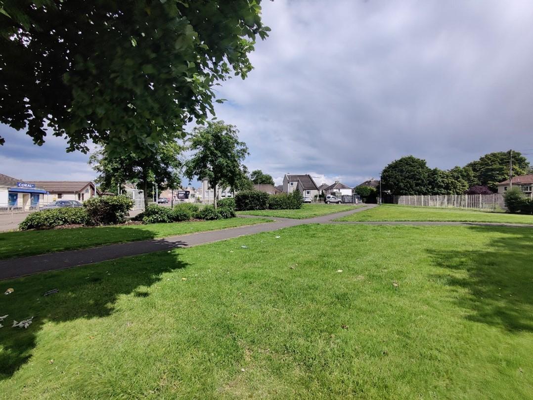 Open grassway 