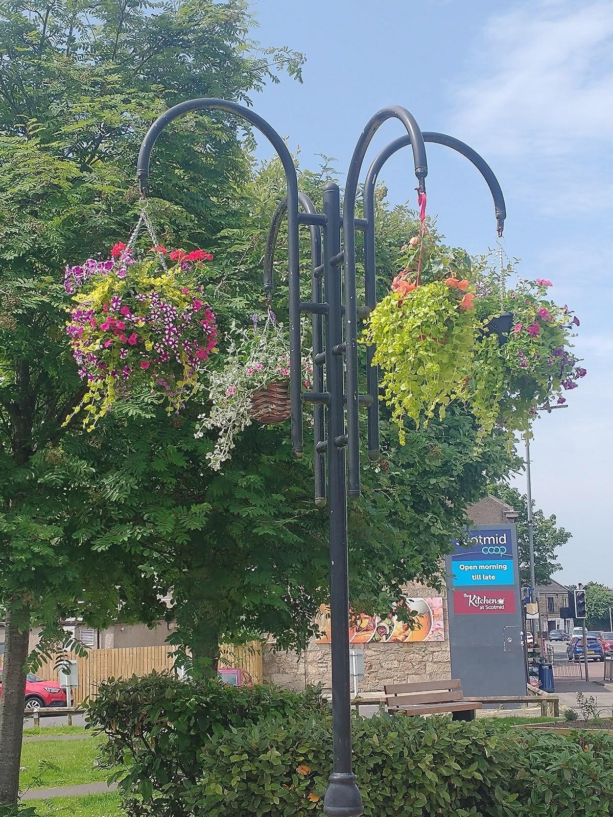 Hanging baskets in local green space displaying flowers. 