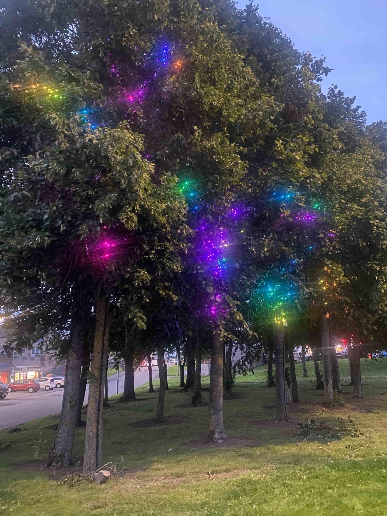 trees with multi colour lights 