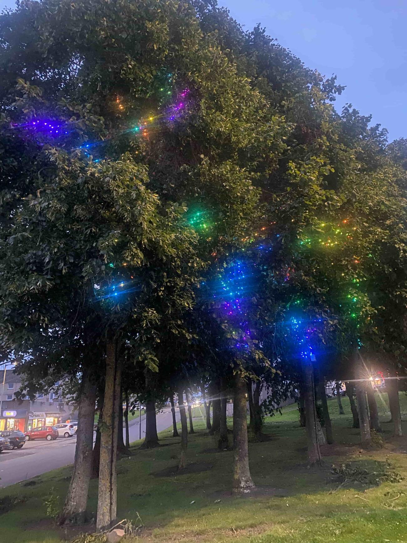 trees with multi colour lights 